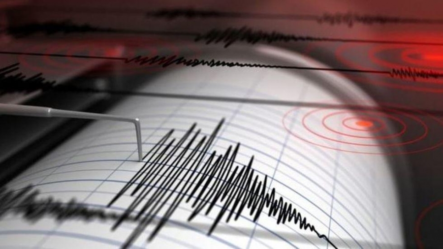 İzmir' de Deprem Nedeniyle İşletmelerin Ba/Bs Formları Ve E-Defter Berat Yüklemeleri Ertelendi